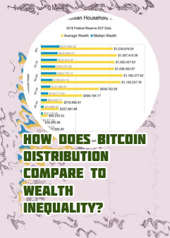 Bitcoin wealth distribution