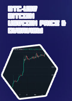 Btc share price