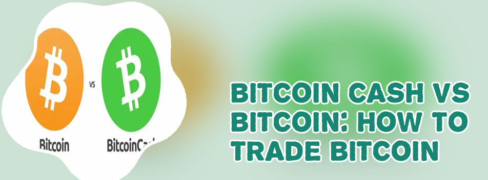 Buy bitcoin or bitcoin cash