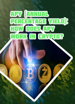 Highest apy crypto