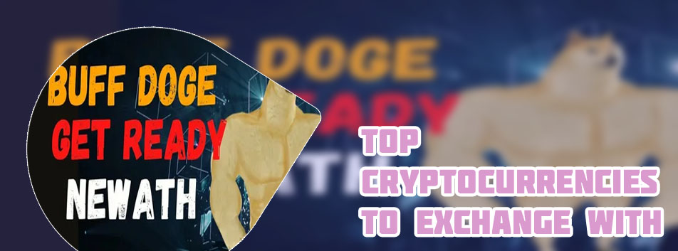 Where to buy buff dogecoin